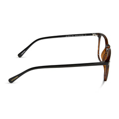 GRIFFIN - BLACK TORTOISE + BLUE LIGHT READERS
