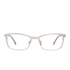 BERNIE - BRUSHED SILVER + GLASSES
